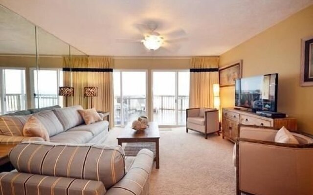 Dolphin Run by Blue Sun