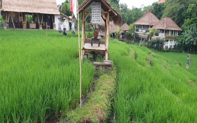 KTS Balinese Villas