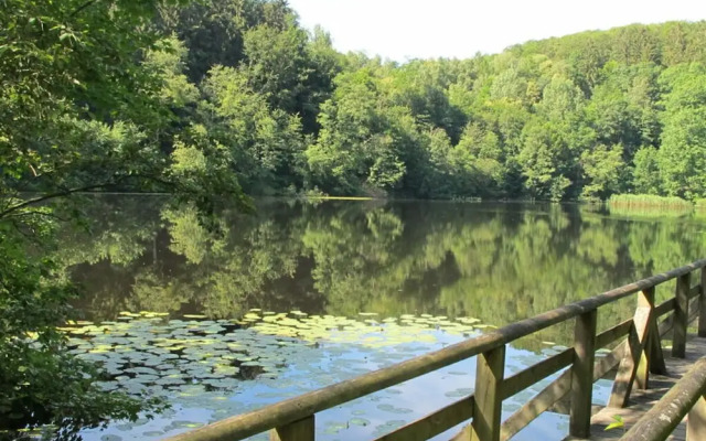 Fasse Comfortable Holiday Residence