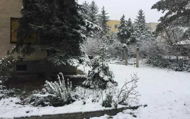 Next to university