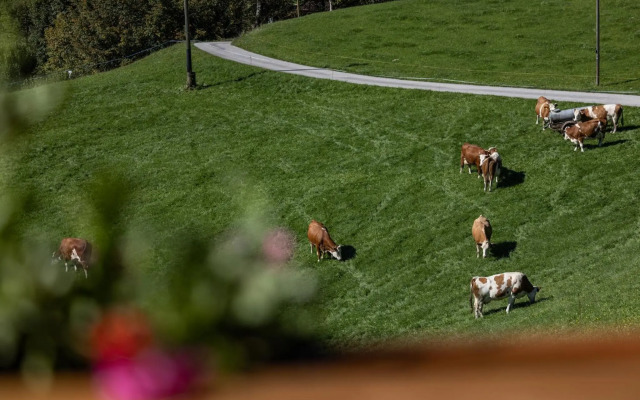 Bergbauernhof Schoberlehen