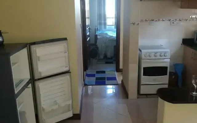Gracious Apartment