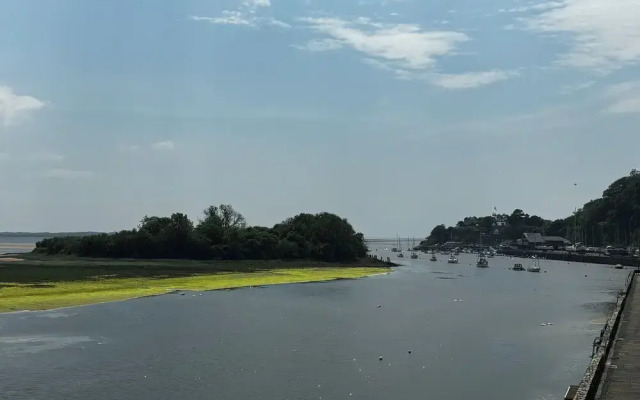 Estuary Escape