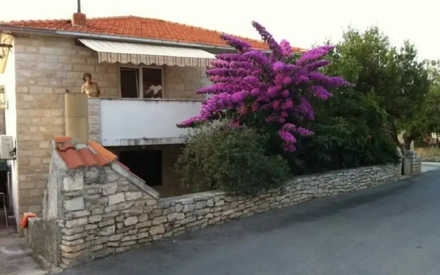 Anđa - With Large Terrace - A1-angie