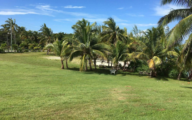 Butterfly Haven by Living Easy Abaco