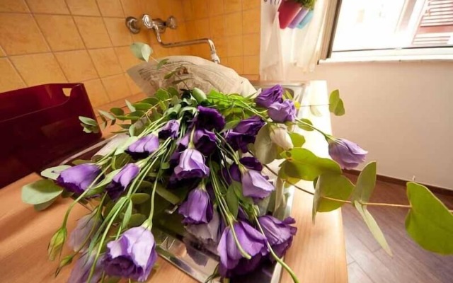 Comfortable Apartment Very Close to the Vatican Free Wifi No123