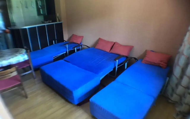 Bakuriani Hills Apartment