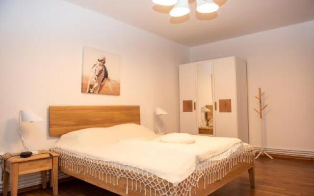 Classic Apartment Near The City Center
