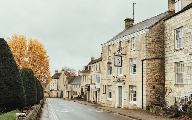 The Falcon Painswick