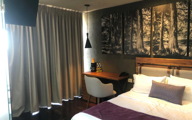 Gamma Rincón de Santiago