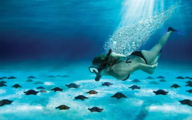 Los Vientos Puerto Aventuras