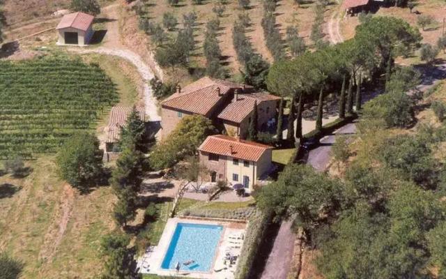Agriturismo Podere Asciana di Alfiero Branchi