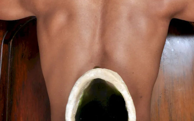 Punarnava Bamboo Lagoon Ayurveda Village