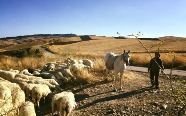 Masseria San Giovanni Sgadari