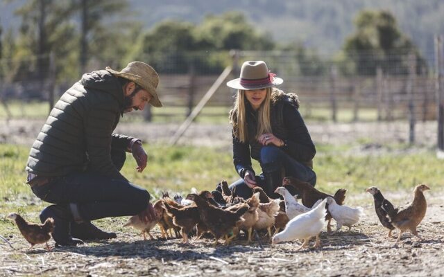 The Farmstead Franschhoek