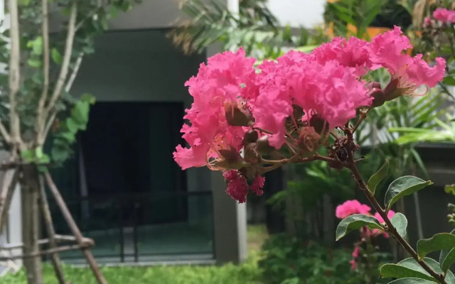 Tandeaw View (SHA Extra Plus)