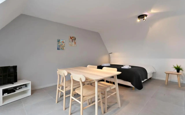 Warm Lofty and Spacious Studio
