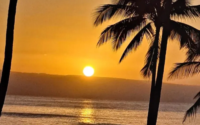 Paki Maui PM-409 by KBM