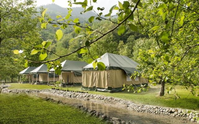 Tall Trees Resort