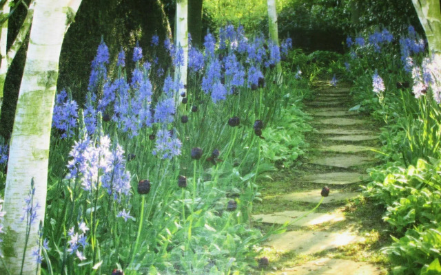 Weston Manor Bed and Breakfast