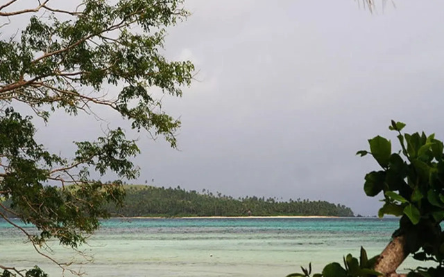 Tarzan's Beach Resort