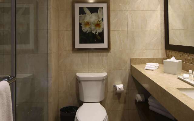 Hilton Garden Inn Cusco