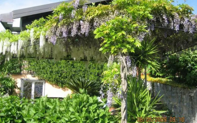 Villa Wisteria