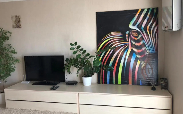 Cozy and comfortable apartment