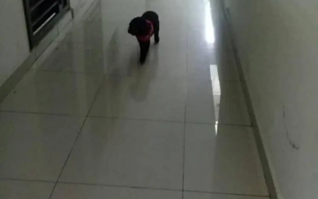 Homerent By Palazio Residences