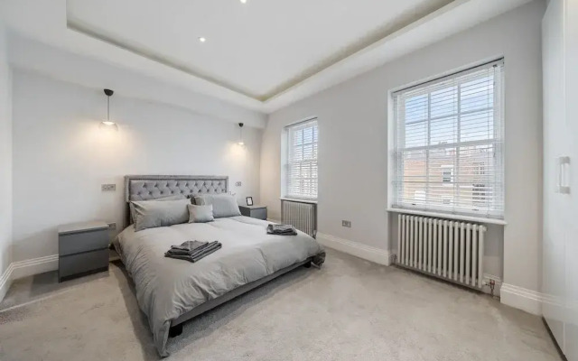 Modern Townhouse With Cinema Room in London SE1