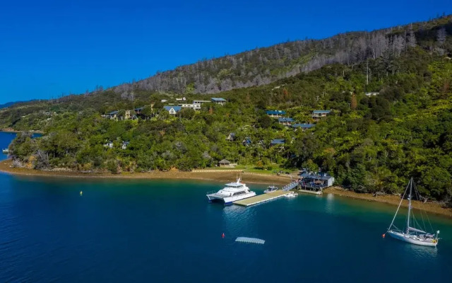 Punga Cove Resort