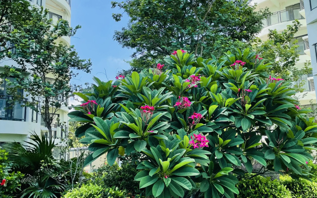 Wenting Apartments (Deli-Haibeihai)