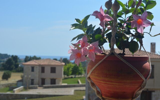 Luxurious Stone House in Elani