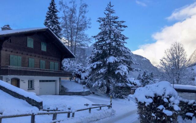 Chalet Anna 23925