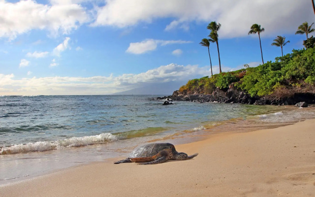 Kapalua Ridge Villas 2614