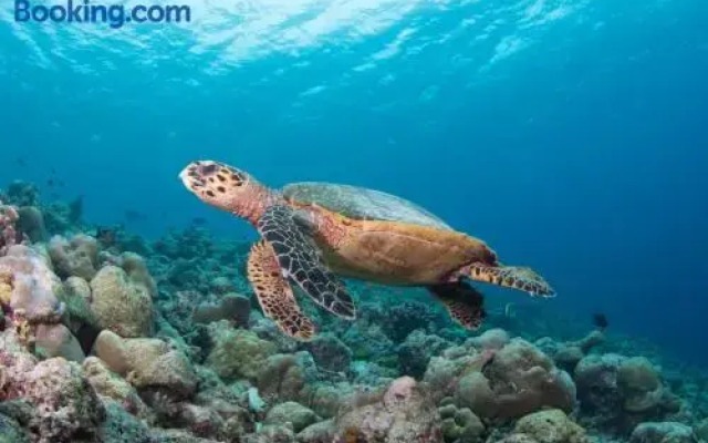 InterContinental Maldives Maamunagau Resort by IHG