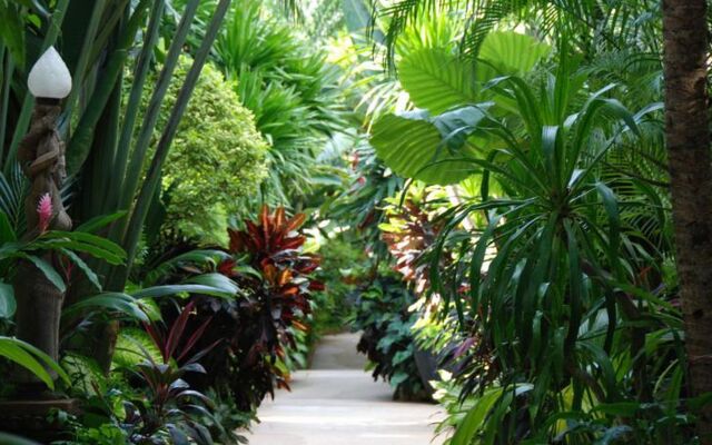 White House Beach Resort And Spa