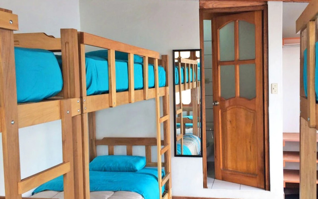 MadWoods Hostel