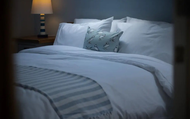 The Nest - 1 Bedroom Apartment - Tenby