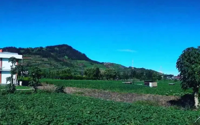 Homestay Flamingo Syariah