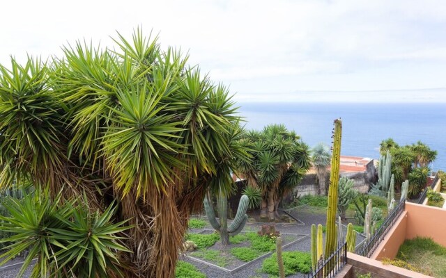 Live Sauzal Los Ángeles