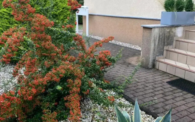 Simply Good Appartment