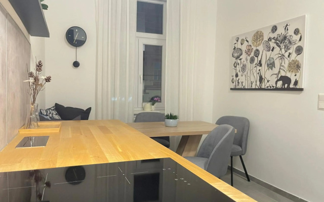 BIG Apartment Vienna