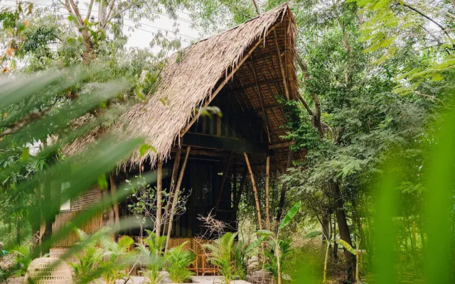 Banyan Tree Hostel