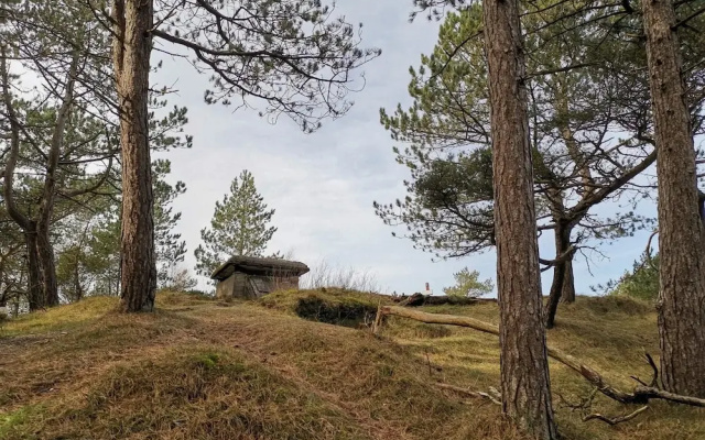 4 Person Holiday Home in Oksbol