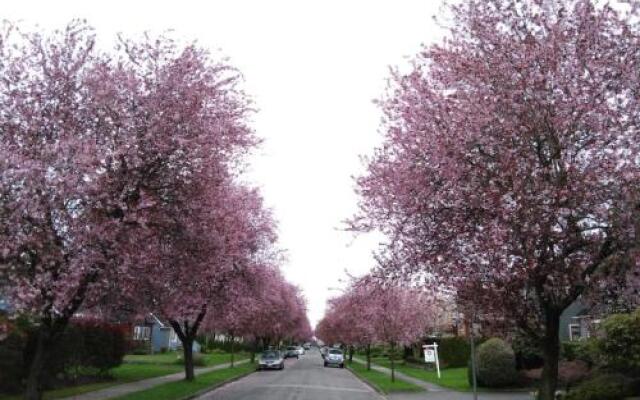 Vancouver West 61st Home