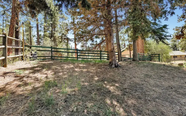 Three Bears Cabin #1574