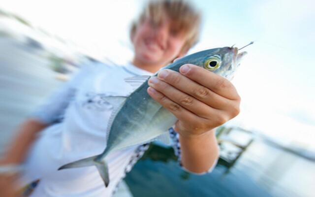 Abaco Beach Resort and Boat Harbour Marina