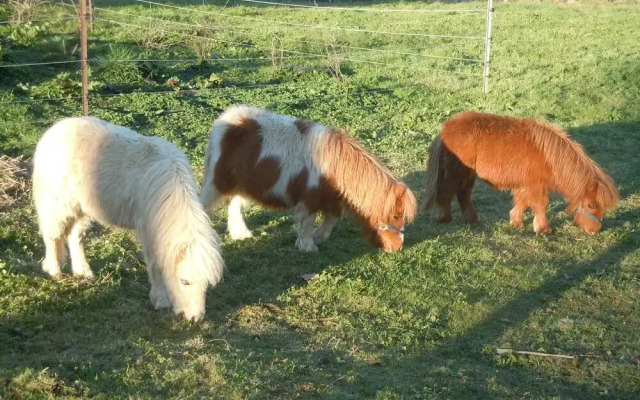 Whispering Spirit Holiday Cottages