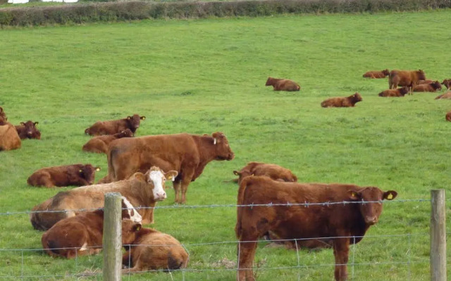 Whidlecombe Farm